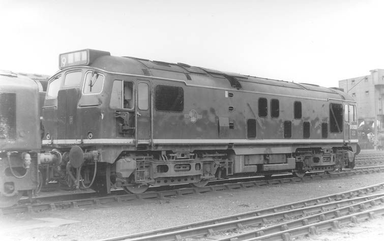 5123bw.jpg